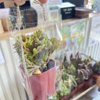 เพลินคาเฟ่บางปู 