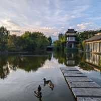 Zen Stay in a Garden at Pullman Lijiang