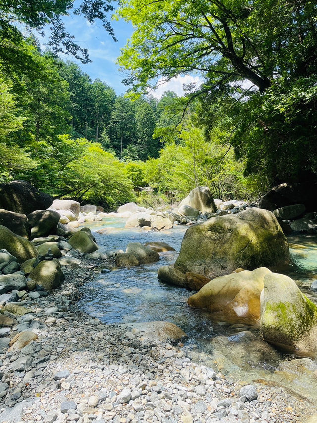 เที่ยวชมธรรมชาติ น้ำตก ที่จังหวัดกิฟุ🎑🏞️