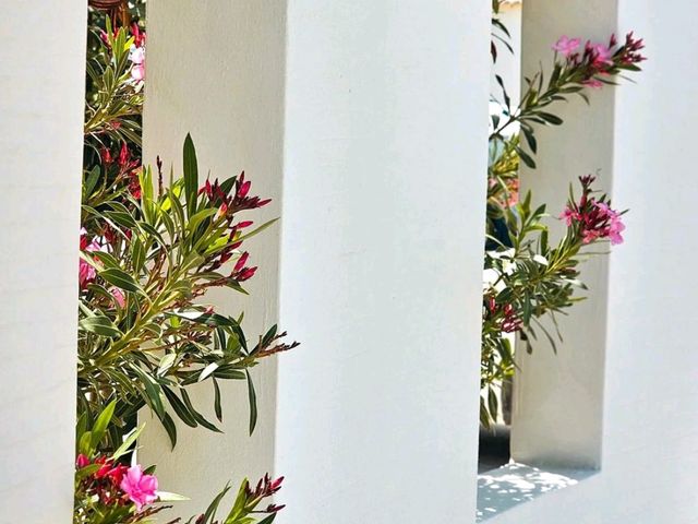 *✨ Syros, Kikladhes - The Gem of the Aegean 🇬🇷
