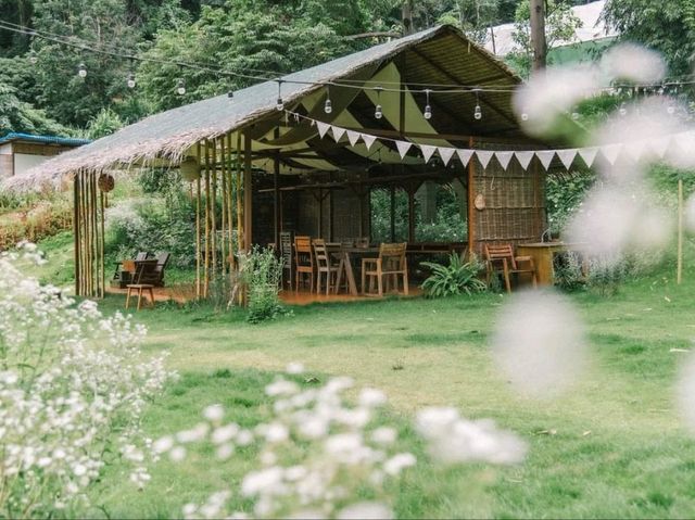 Mori Natural Farm โมริ เนเชอรัลฟาร์ม เชียงใหม่ 