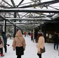 旭川景點｜日本最北、高人氣寒帶動物園—旭川動物園