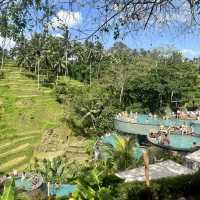 A paradise rice terrace in Bali, Indonesia 