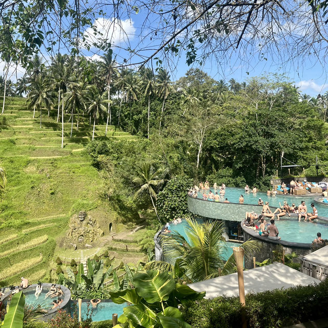 A paradise rice terrace in Bali, Indonesia 