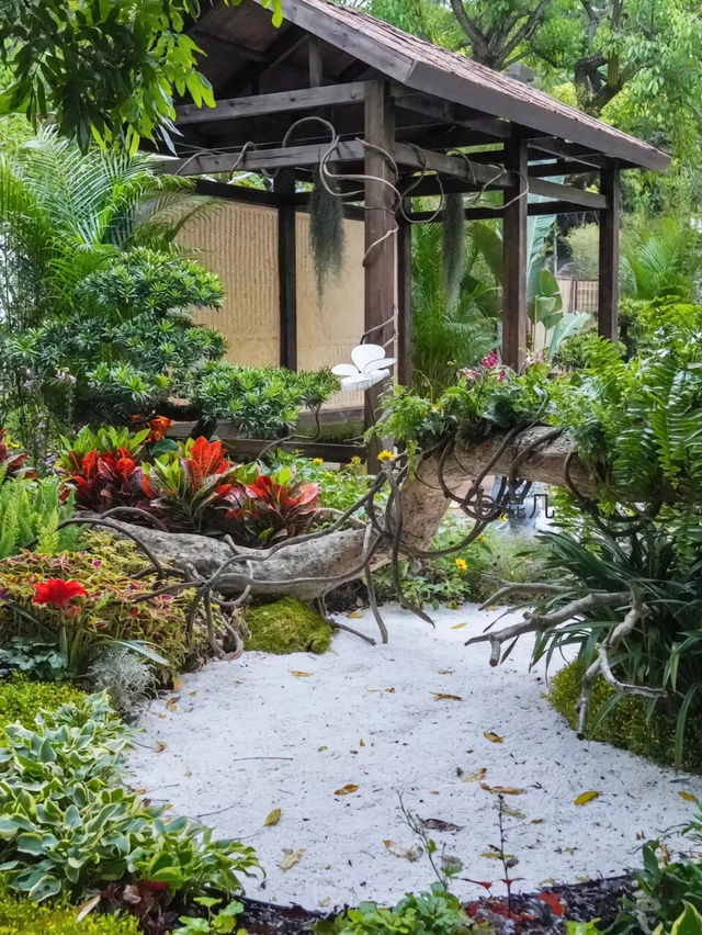 《郊遊》【深圳仙湖植物園】豐富植物景觀，化石森林展示自然奇觀。適合郊遊、中式園林愛好者