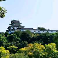 快閃和歌山