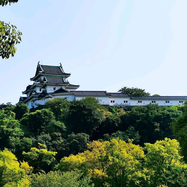快閃和歌山