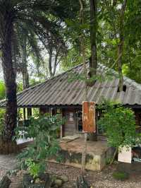 ฮกหลง คาเฟ่ | เชียงดาว 🏡☕️🌿🍃