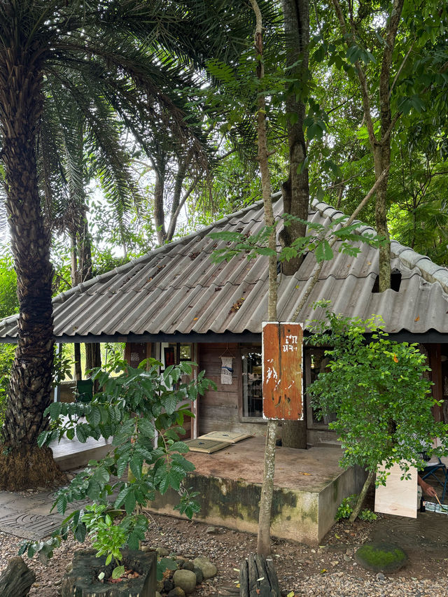 ฮกหลง คาเฟ่ | เชียงดาว 🏡☕️🌿🍃