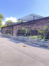 【大阪】キリンにカバが見れたアメリカサバンナゾーン