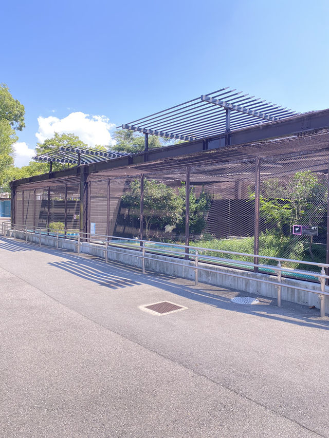 【大阪】キリンにカバが見れたアメリカサバンナゾーン