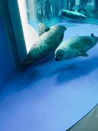 桃園青埔Xpark 水族館🐠台灣首座新都會型水生公園