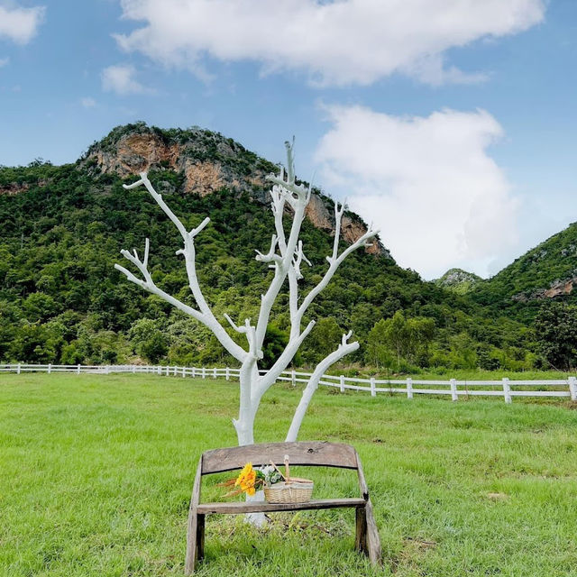  🌳 Kappa Gardens Farm