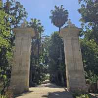 Discover Nature’s Beauty at Palermo Botanical Gardens