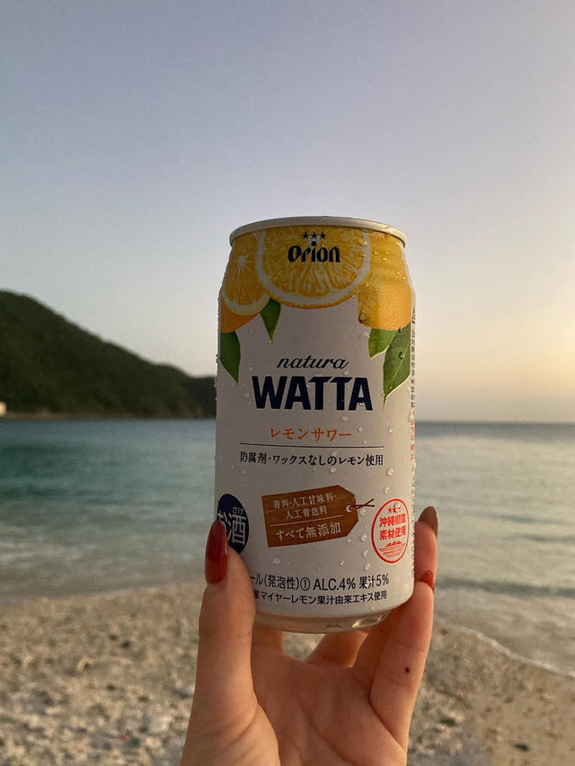 【那覇から行ける絶景離島】離島マニアのモデルコース