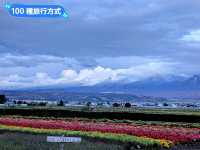 日本北海道-四季花田與雪山織成的美景：富田農場