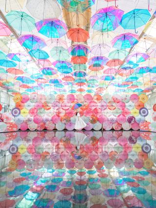 [Limited Time Only] This is actually a private space🌈✨ Don't miss the colorful reflexology photogenic area and seasonal flower fields! 🌿🌼