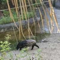 台北市立動物園