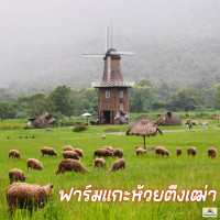 ฟาร์มแกะห้วยตึงเฒ่า