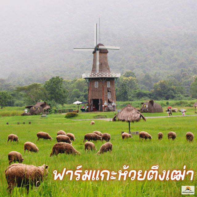 ฟาร์มแกะห้วยตึงเฒ่า