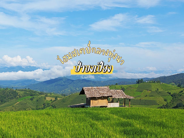 บ้านพักแฮเก นาขั้นบันไดป่าบงเปียง
