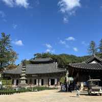 단풍으로 유명한 공주 마곡사 다녀왔어요 🍂🍁