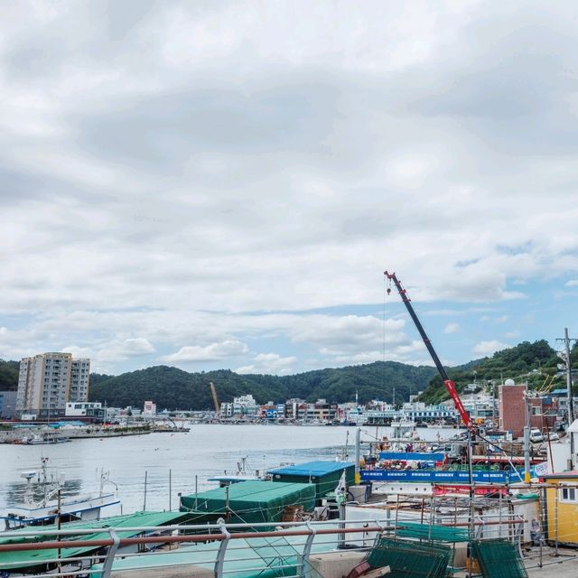 여유로운 바다산책을 좋아한다면