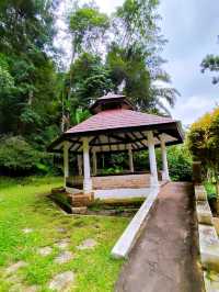 Hiking Trail from Penang Botanic Gardens