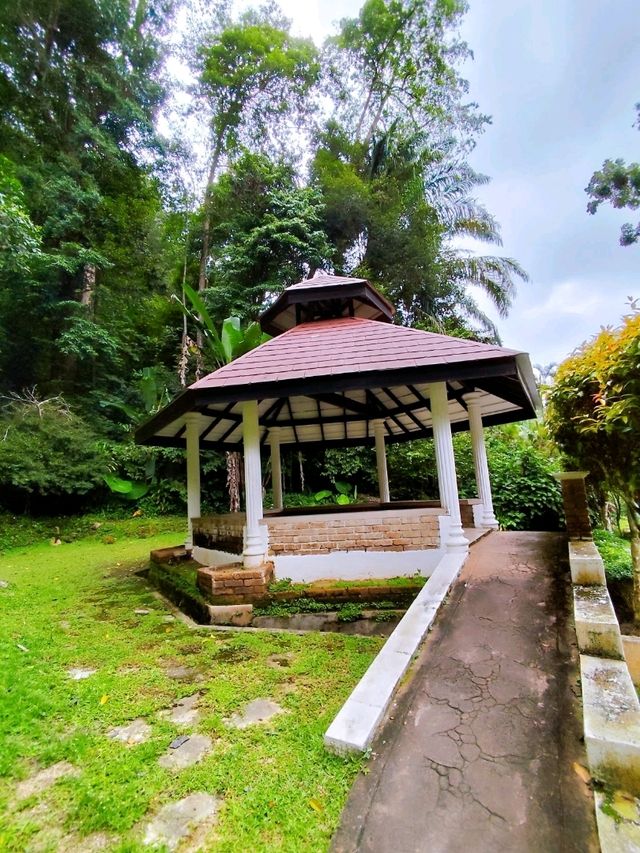 Hiking Trail from Penang Botanic Gardens
