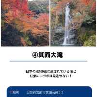 【保存必須!!】2024 大阪の紅葉スポット