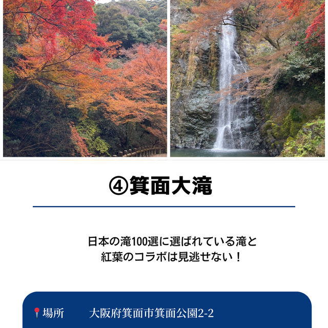 【保存必須!!】2024 大阪の紅葉スポット