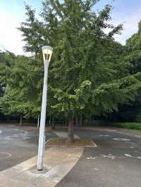 도쿄 요요기 공원에서 산책하기🌳💚