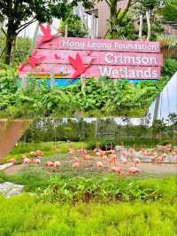 Up Close with Animals at Bird Paradise