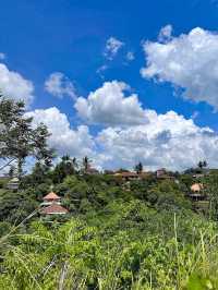 Tranquil Trails at Campuhan Ridge Walk