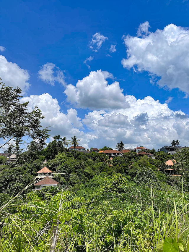Tranquil Trails at Campuhan Ridge Walk