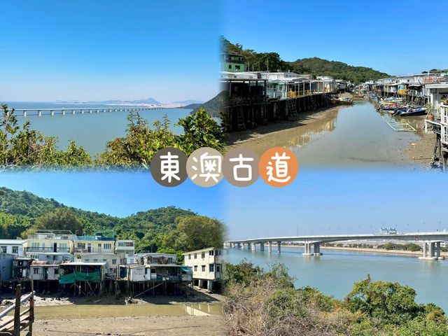 東澳古道-景色怡人，路線平坦，難度較低