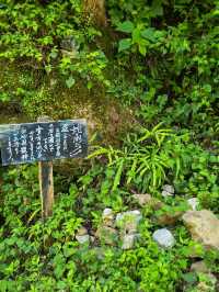【高知】白龍湖が美しい