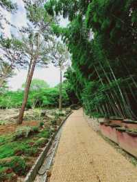 Enjoying the serendipity at Halla Aboretum near Jeju Airport