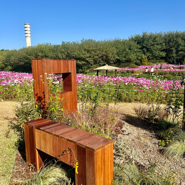 HANEUL PARK
