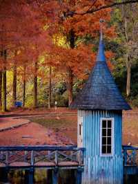 【人気の紅葉映えスポット】子供も思いっきり楽しめる公園