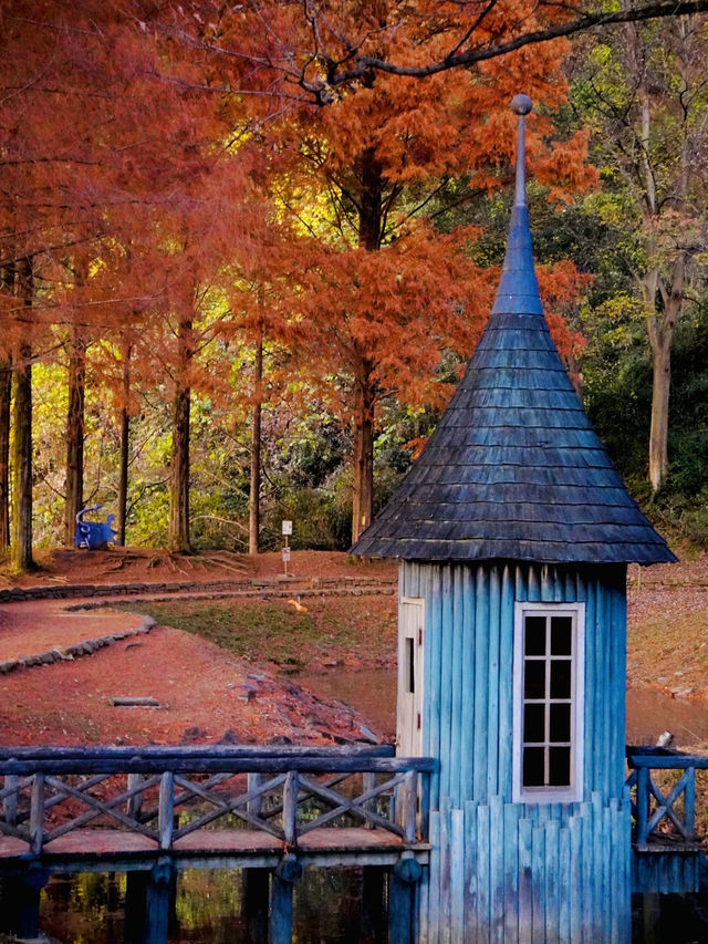 【人気の紅葉映えスポット】子供も思いっきり楽しめる公園
