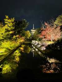 【京都東寺】境内の紅葉ライトアップ🍁と夜間特別公開