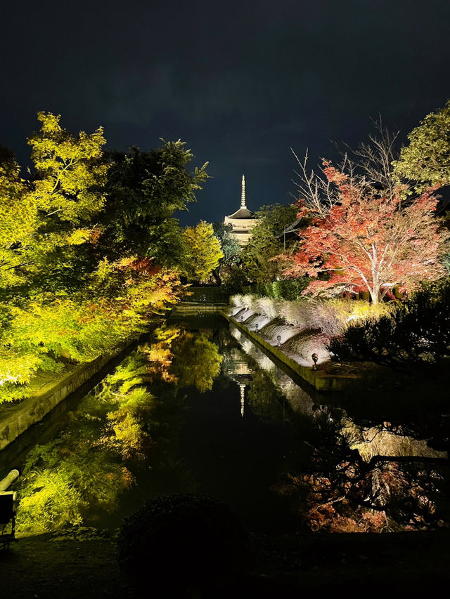 【京都東寺】境内の紅葉ライトアップ🍁と夜間特別公開
