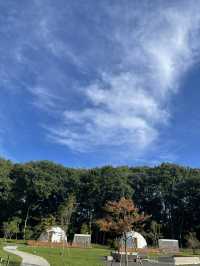 【栃木・日光】大自然グランピング🌱brilliant village日光