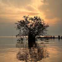 Lotus Paradise: Exploring the Beauty of Thale Noi in Phattalung!
