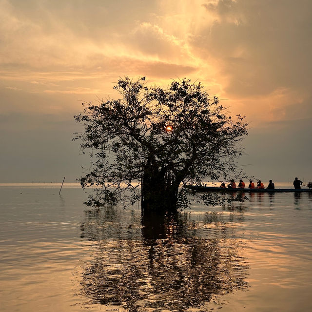 Lotus Paradise: Exploring the Beauty of Thale Noi in Phattalung!