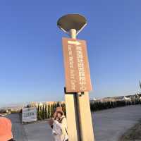 Explore the beauty of Gaomei Wetland Taichung