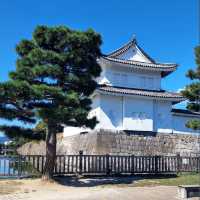 京都的歷史與文化遺產的魅力✨ 二條城🏯