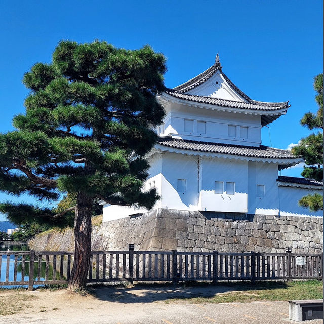 京都的歷史與文化遺產的魅力✨ 二條城🏯