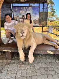 Vigan City, Ilocos Sur